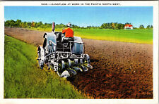 Postcard Gangplow At Work In Pacific North West White Border Card 1917-1929 picture