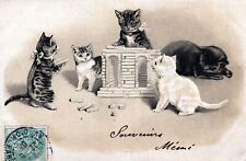 Five Cats Postcard - udb - 1905 picture