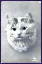 Vtg RPPC Glass Eye Cat Lavender Fabric Ribbon Bow Real Photo PC Antique c1920 picture