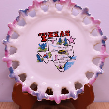 Vintage TEXAS Souvenir Collector Plate Bluebonnets Texas Stadium picture