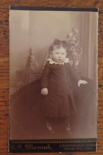 Late 1800's H.D. Weenink, Orange City Iowa  Sepia Cabinet Photograph Child picture