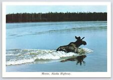 Animal~Alaska~Moose Taking A Swim Along Alaska Highway~Continental Postcard picture