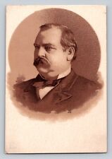 President Grover Cleveland McLanes Vermifuge P598 picture