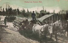 Hauling Logs Bessemer Michigan MI c1910 Postcard picture