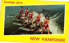 GREETINGS FROM NEW HAMPSHIRE POSTCARD DEXTER CROWN WATER SKI A421 picture