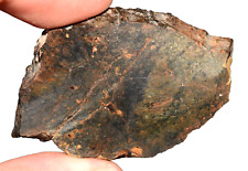 Meteorite Ungrouped Achondrite NWA 13272 poikilitic slice 18g picture