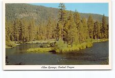 Allen Springs Campground Metolius River Central Oregon OR Chrome Postcard Vtg picture