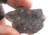 Bechar 008 meteorite HED  Howardite End cut Weight 31.9 grams 1.7  inches picture