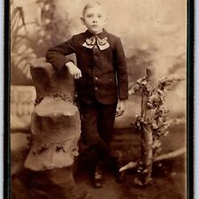 c1880s Lykens, PA Handsome Young Man Boy Cabinet Card Photo Gerdon B19 picture