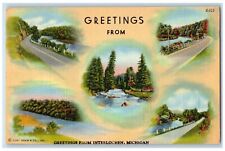 1941 Greetings From Trees River Lake Interlochen Michigan MI Multiview Postcard picture