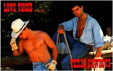 Love Those Texas Cowboys 2 Hunky Men 1990s Chrome Postcard Photo Gay Interest picture