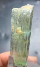 99 Cts Natural Kunzite crystal  from Afghanistan picture