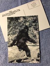 Bigfoot/Sasquatch Postcard Photo 4X6 Black & White picture