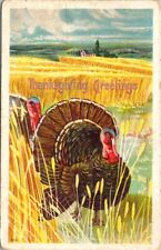 vintage postcard- Thanksgiving Greetings - turkey wheat field embossed c1900s picture