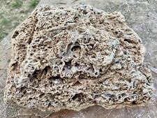 TABULAR* 12.4 LB Fossil Coral Specimen With Beautiful Pink Hued Druzy Crystals picture