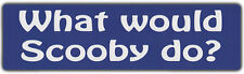 Bumper Stickers: WHAT WOULD SCOOBY DO? | Funny Decal picture