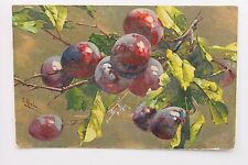 27904 Artist Ak Catharina Small Berries Still Life 1918 PC CPA picture