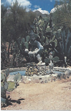 Postcard AZ Yaqui Deer Dancer Located On Patio In The Gallery In The Sun Cactus picture