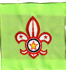 Boy Scout Membership Badge PARAGUAY orange picture