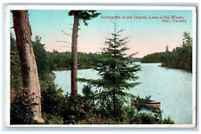 c1905 Among the 10,000 Islands Lake of the Woods Ontario Canada Postcard picture