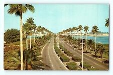 Memorial Causeway Clearwater Beach Florida 4 Lane road Palm Tr Lined Postcard E8 picture