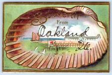 1910's SOUVENIR FROM OAKLAND ILLINOIS IL EMBOSSED SEASHELL ANTIQUE POSTCARD picture