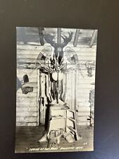 Shrine of the Pines Baldwin Michigan moose head & guns RPPC post card picture