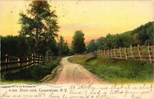 1905 Cooperstown New York Shore Road Undivided Postcard picture
