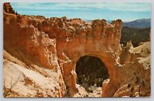 Natural Bridge Bryce Canyon National Park Utah Vintage Postcard picture