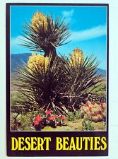 Arizona AZ - Desert Beauties Yucca Cactus Flowers Vintage Unposted Postcard picture