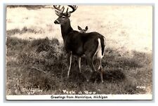 Greetins from MANISTIQUE Michigan RPPC~ Deer & Fawn Hunting & fishing picture