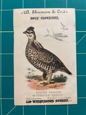Zoological card - Prang - Prairie Chicken on trade card picture