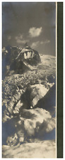 France, Mont Blanc, La Mer de Glace, Artistic Edition, Photo. Mr. Willmann Vint picture