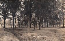Smithland Iowa~Path Thru Tall Grass in Park~Gazebo in Trees~c1912 RPPC picture