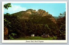 c1978 Seneca Rock West Virginia WV 900 Feet High VINTAGE Postcard picture