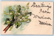 Wadena Minnesota Postcard Greetings Flower Glitter Embossed 1910 Vintage Antique picture