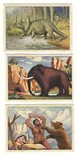 Echte Wagner 1930 Prehistoric 3 cards VG+ picture