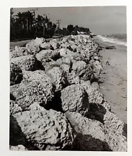 1964 Florida Beach Erosion Sea Wall Conservation Traffic Vintage Press Photo picture