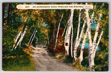 1962 Adirondack Road Birches Inlet NY Lake Vintage Postcard picture