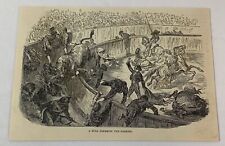 1878 magazine engraving ~ BULL CLEARING THE BARRIER Bullfighting, Spain picture
