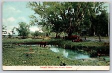 Delphi Indiana~Peaceful Valley Farm W/ Cattle Alongside Creek~Vintage Postcard picture
