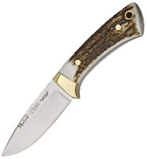 Muela Colibri Stag Handle 440C Stainless Fixed Knife w/ Brown Belt Sheath 92340 picture