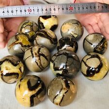 3092g 13PCS Natural Septarian Dragon Stone Quartz Crystal Sphere Mineral Healing picture