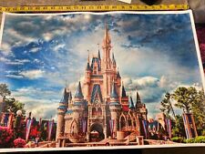 Disney Disneyland Castle Poster 18” X 24” picture