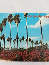 C 1971 Palms & Bougainvillea Lower Rio Grande Valley South TX Beauty Postcard picture