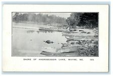 c1910's Shore Of Androscoggin Lake Wayne Maine ME Unposted Antique Postcard  picture