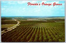Vtg Clermont Florida FL Orange Groves View North from Citrus Tower Postcard picture