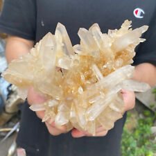 2.1lb Large Natural Clear White Quartz Crystal Cluster Rough Healing Specimen picture