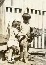 F400 Vtg Photo TWO CHILDREN WITH THEIR FAVORITE SHEPHERD DOG c Early 1900's picture