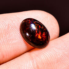 01.40Cts. Natural Welo Fire Black Ethiopian Opal Oval Cabochon Loose Gemstone picture